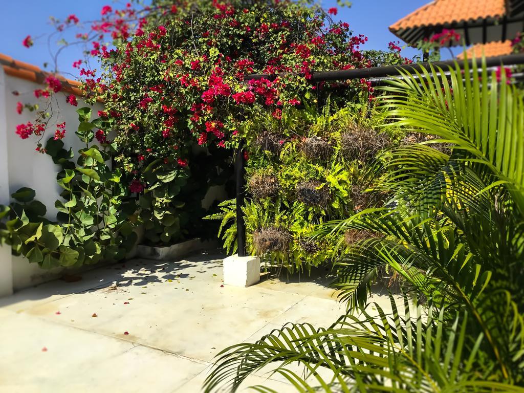 Casa Ines Bed and Breakfast Santa Marta  Eksteriør billede