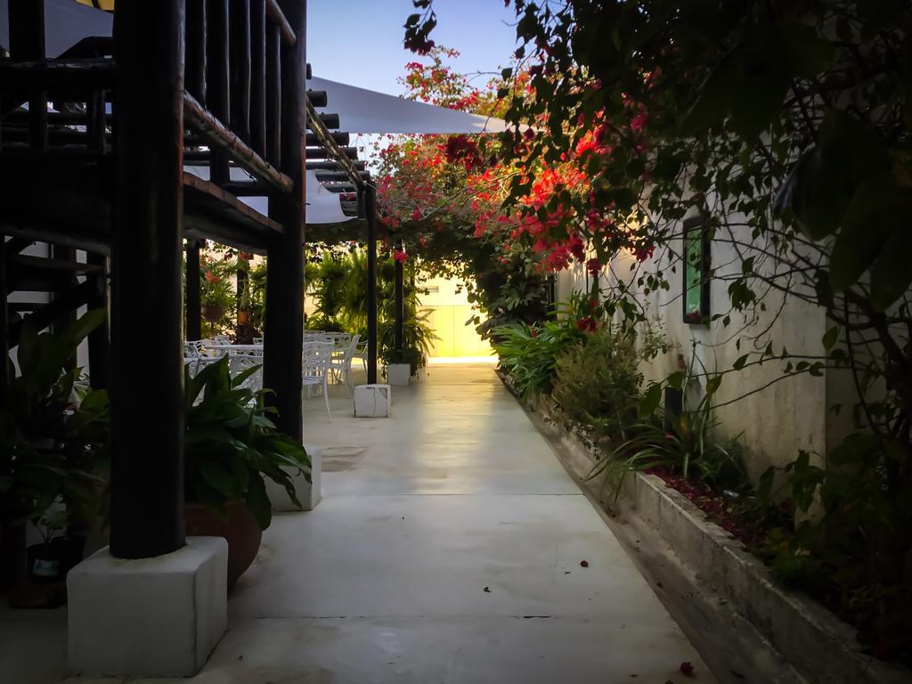 Casa Ines Bed and Breakfast Santa Marta  Eksteriør billede
